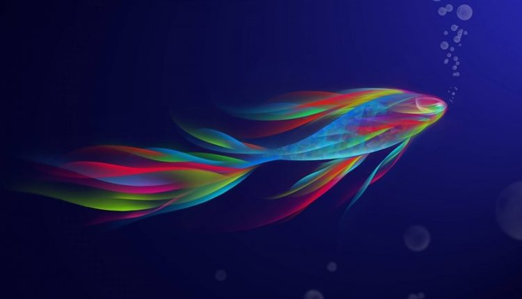 دیجی فکت: 25 دانستنی دربارهی ماهیها