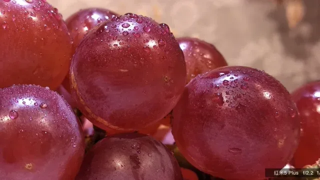 ردمی 5 و ردمی 5 پلاس