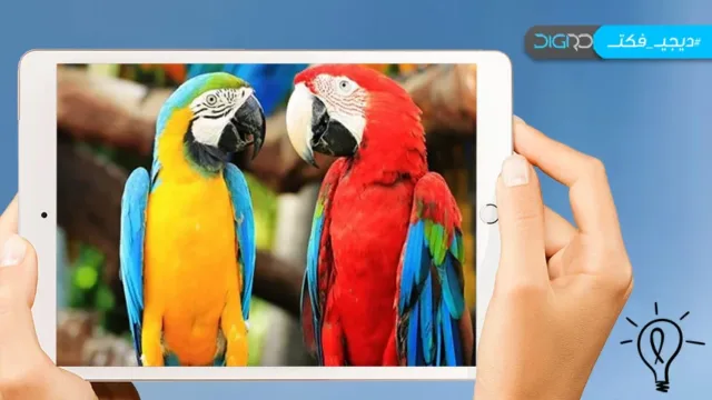 15 دانستنی درباره‌ی طوطی‌ها