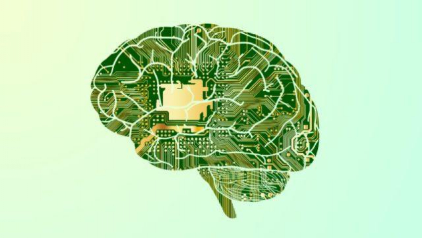 آیا مغز انسان مثل یک کامپیوتر کوانتومی کارمی‌کند؟