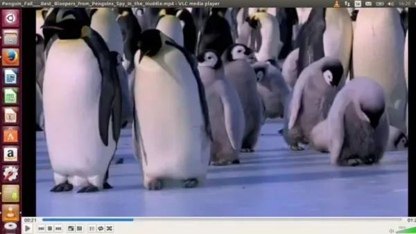 VLC Media Player