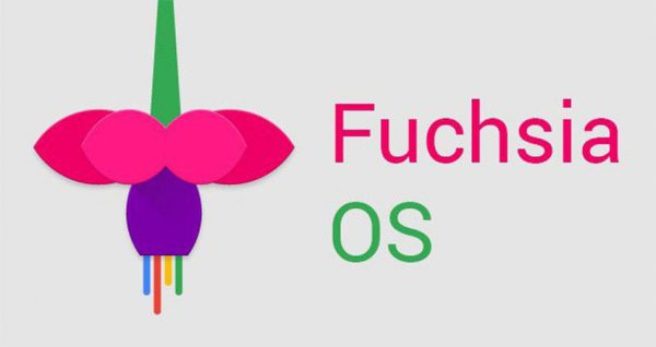 گوگل در حال کار بر روی جایگزین اندروید با اسم رمز Fuchsia است
