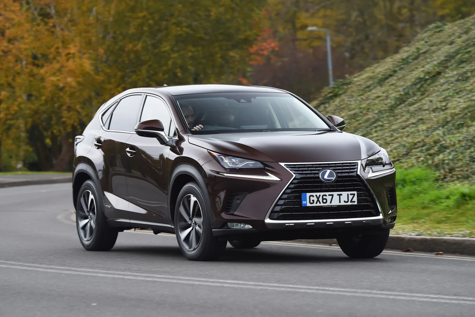 Lexus nx300h
