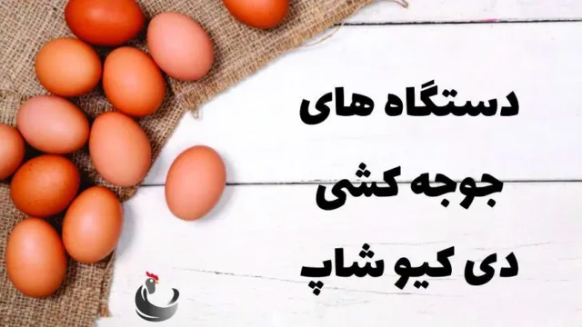 شرکت پر طلایی، تولید کننده دستگاه های جوجه کشی و تجهیزات جانبی