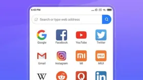 Mint Browser