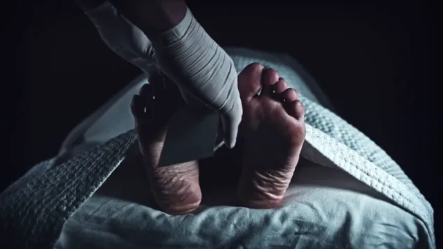مر انسان تنها رخداد حتمی در زندگی انسان