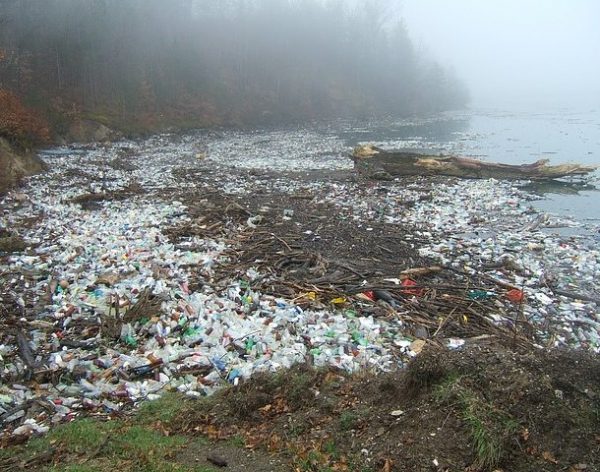 25 حقیقت تکان دهنده درباره زباله های پلاستیکی در جهان ما