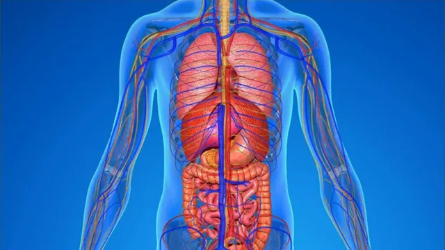 16 حقیقت عجیب و باورنکردنی درباره بدن انسان