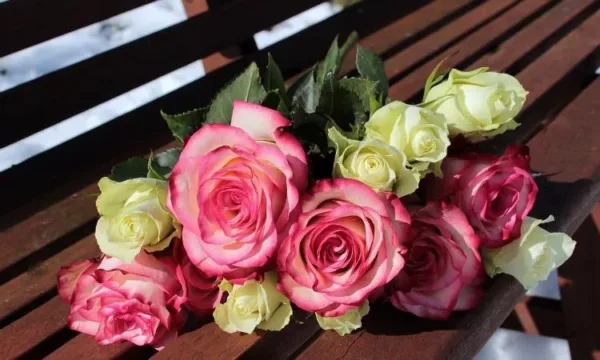 خرید کادوی ولنتاین و همه نکاتی که باید در این مورد بدانید