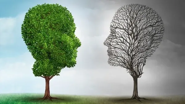Bipolar Disorder یکی از شایع ترین بیماریهای روحی در جهان