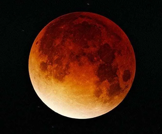 نظریه هم‌شکل‌گیری