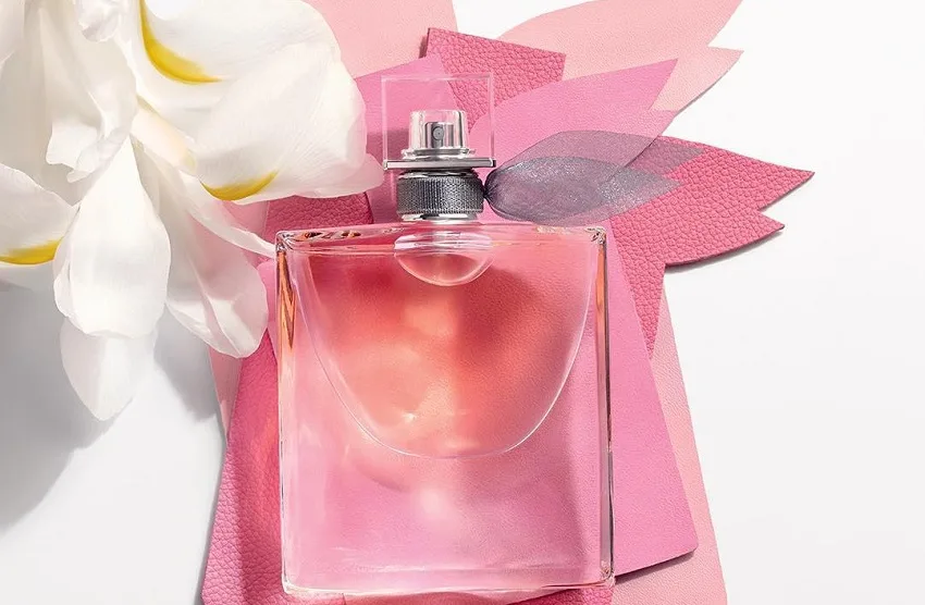 چه عواملی ماندگاری عطر را تعیین میکند؟ تفاوت اودوپرفیوم و اودوتویلت