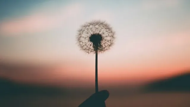 برای رسیدن به آرزوها و تسلیم نشدن، این 7 کار را انجام دهید