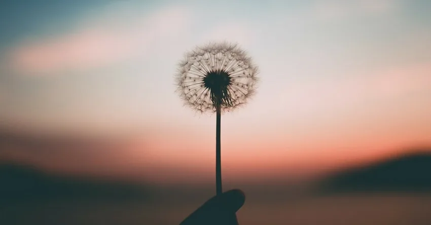 برای رسیدن به آرزوها و تسلیم نشدن، این 7 کار را انجام دهید