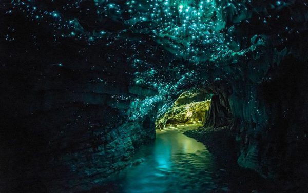 مکان‌های دیدنی جهان: غار گلوورم ویتومو