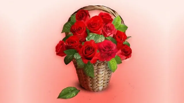 رنگ گل رز و مفهوم پشت آن
