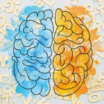 یادگیری زبان دوم چه تاثیری روی مغز می‌گذارد؟ 