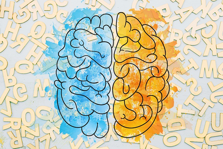 یادگیری زبان دوم چه تاثیری روی مغز می‌گذارد؟ 