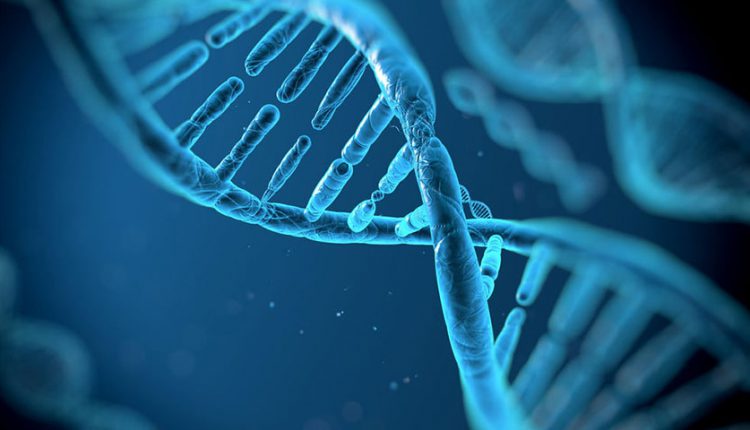 رایانه مبتنی بر DNA