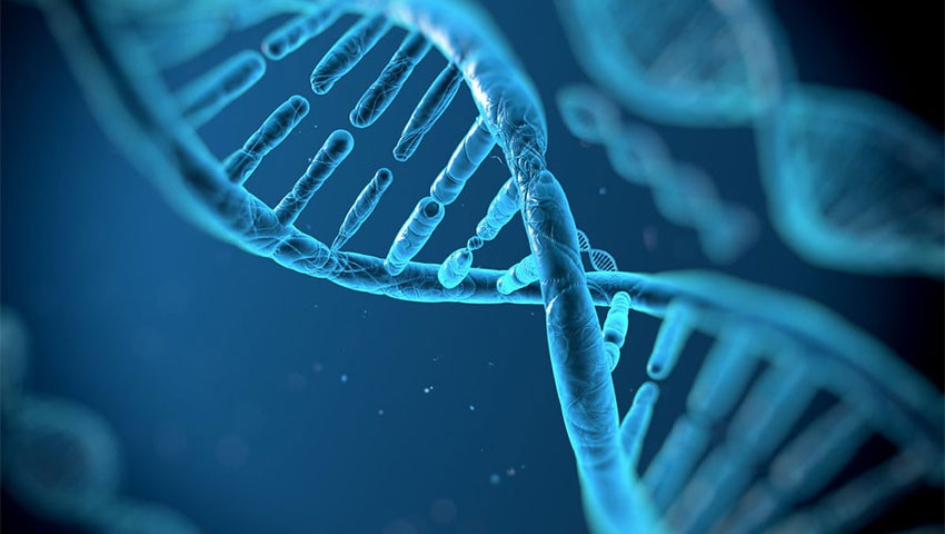 رایانه مبتنی بر DNA