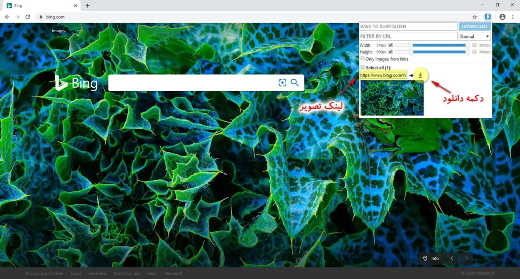 دانلود تصویر با Image Downloader