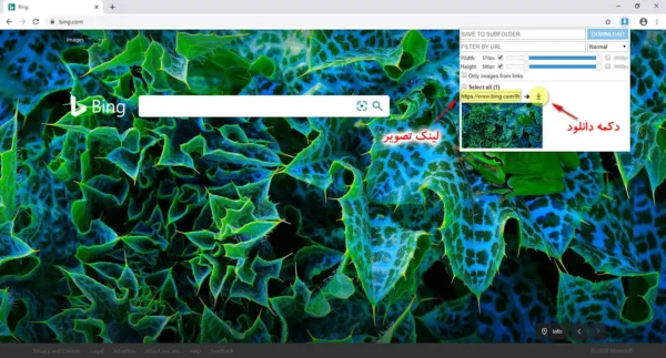 دانلود تصویر با Image Downloader
