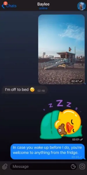 ارسال هنگام آنلاین شدن