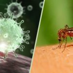تأثیر داروی ضد مالاریا در ویروس کرونا