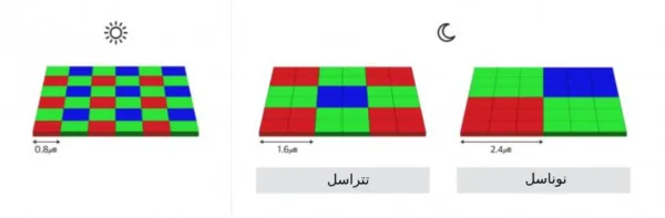نوناسل و تتراسل