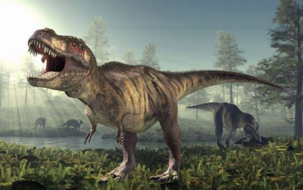 10 حقیقت جالب و خواندنی در مورد دایناسورها