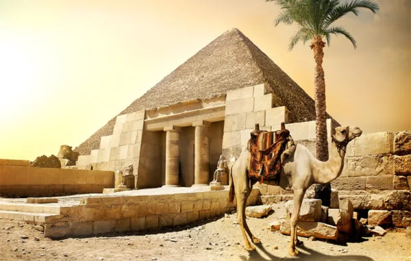شترها در مصر باستان