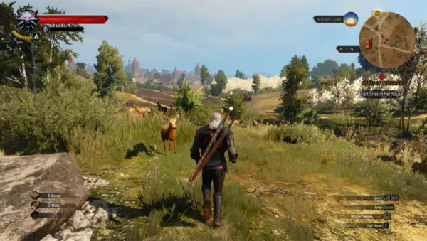 بازی The Witcher 3: Wild Hunt