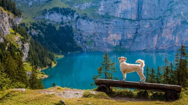 7 هزار دریاچه در سوئیس