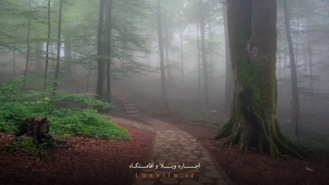 اجاره ویلا در نمک آبرود