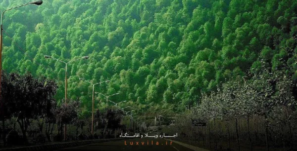 اجاره ویلا در نمک آبرود