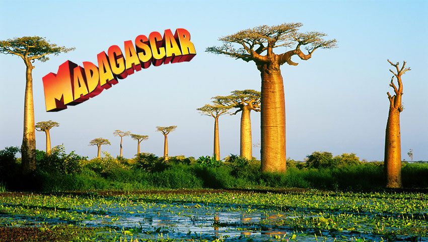 ماداگاسکار