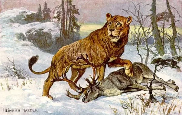 شیر اروپا