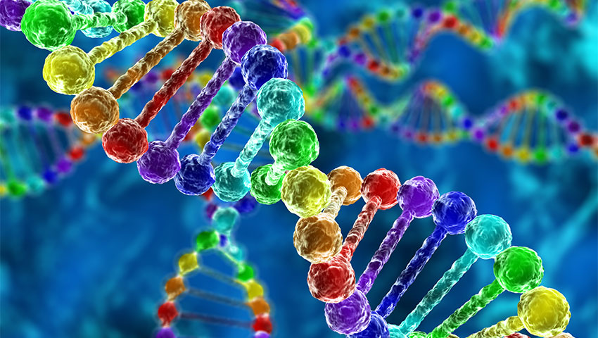 14 دانستنی جالب در مورد DNA