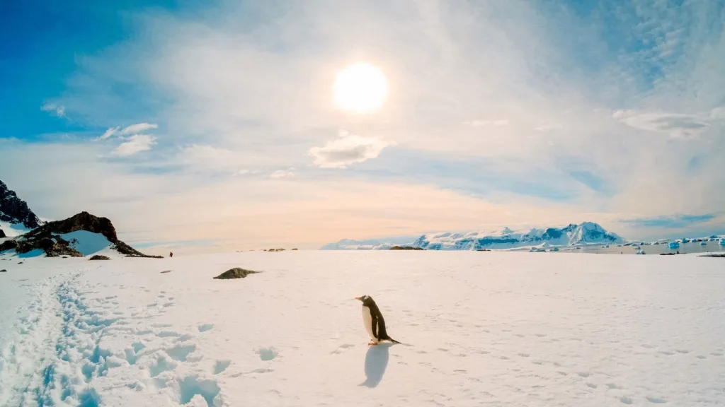 با 7 مکان عجیب و کاوش نشده زمین آشنا شوید Antarctica