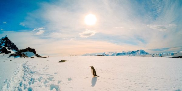 با 7 مکان عجیب و کاوش نشده زمین آشنا شوید Antarctica