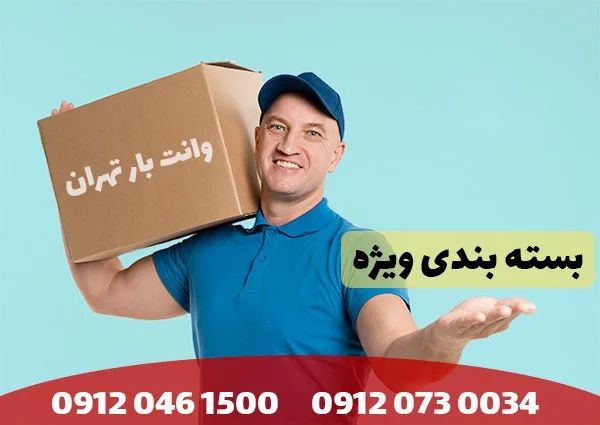 حقایقی جالب و خواندنی در مورد ظروف چینی