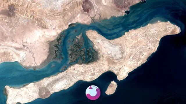 تور آف خورده قشم نهال گشت