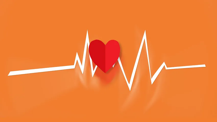بزم آرا، اجاره تجهیزات و اجرای رویداد