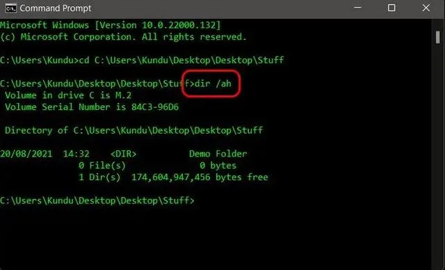 چگونه فایل ها و پوشه های مخفی را در ویندوز 11 آشکار کنیم؟ 12