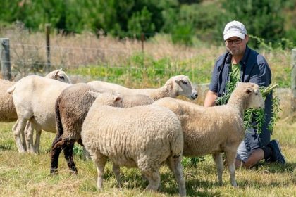 چگونه یک شرکتِ آنتی ویروس، از راه دور و در مزرعه اداره می شود!