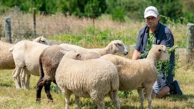 چگونه یک شرکتِ آنتی ویروس، از راه دور و در مزرعه اداره می شود!
