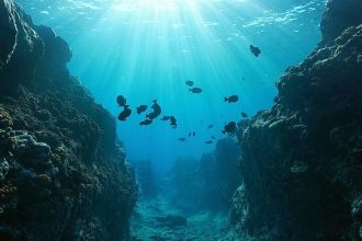 50 حقیقت جالب در مورد اقیانوس آرام