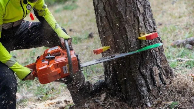 نکاتی جالب در مورد اره برقی و نحوه اختراع آن