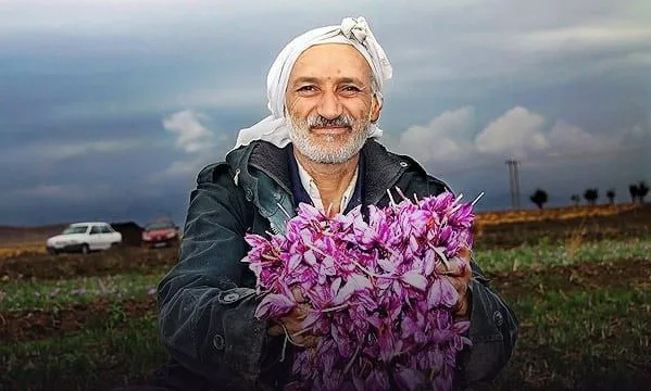 بهترین زعفران ایران در چه شهری کشت می‌شود؟