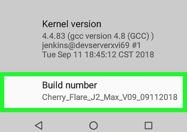 روش دوم: استفاده از Developer Mode برای تغییر تراکم پیکسلی 2